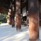 唐招提寺 金堂②