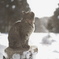 Thank you photography lovers!*