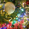 クリスマス満開1