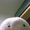 SUNP0006