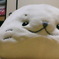 和室しろたん