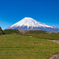 富士山と茶畑