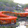 高山稲荷神社　千本鳥居