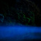 Blue-Mist