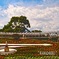 中央公園　花時計