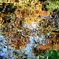 DSC01707MMH