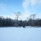 北海道の朝