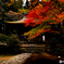 奈良大和路　紅葉のなかの室生寺本堂