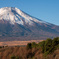 朝の富士山