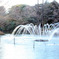大宮公園の噴水