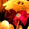 shell2