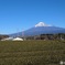 20240109 富士山　スマホ撮影