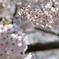 DSC01738