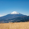 大野山から見た富士山