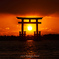 湖上の夕日2024