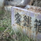 誰が入れるの