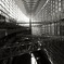 monochrome_光蜥蜴4
