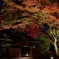 紅葉の門