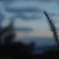 冬の夕暮れ