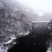 山吹雪霏々と谷深く
