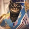 ヤドカリねこ