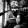 THE  BUS 