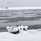 北海道　冬に撮った写真⑰　石狩市・灯台と舟の１月