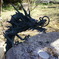 Omura Dragon