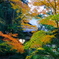長圓寺3