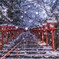 貴船神社の雪景色(速報版)