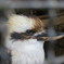 埼玉県こども動物自然公園