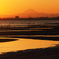 干潟の夕景