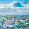 Wonder Ocean