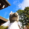 神社狛犬