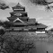 松本城と松