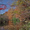 紅葉の三宝池