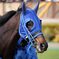 α7RⅢ＋SIGMA 100-400mm F5-6.3 DG DN OS 競馬