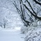 大雪②