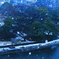 雪景色①