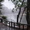 公園　雪降り始め