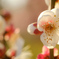 光のどけき梅の花