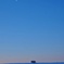 もっと湿気が欲しい