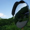峠道のカーブミラー
