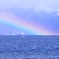 琵琶湖と虹