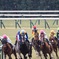 京都競馬場 10R 飛鳥ステークス　2024.2.10