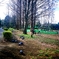 公園