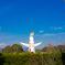 青空と太陽の塔