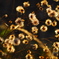 P1290030