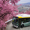 まつだ桜まつりシャトルバス