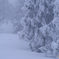 雪国